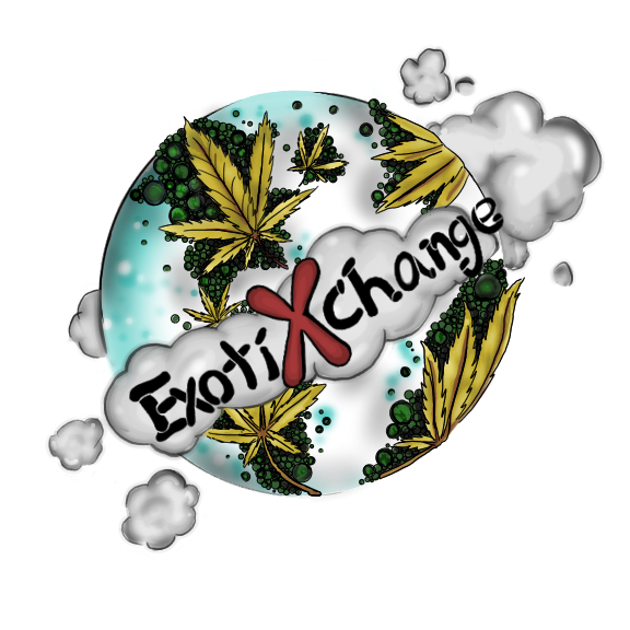 Exotixchange518
