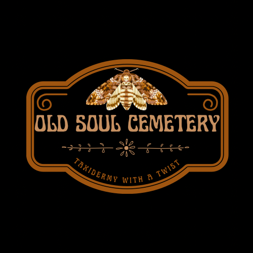 Old Soul Cemetery